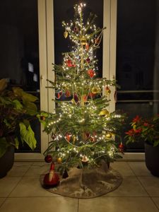 560 LED Lichterkette 11m warmweiß mit Timer und 8 Programmen LEDs für Innen und Außen Kunden-Foto 2