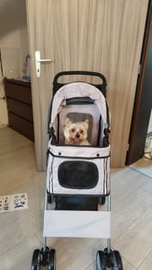 PawHut – kočík pre psov, skladací kočík pre psov a mačky do 10 kg s pláštenkou proti dažďu, sivý Fotografia od zákazníka č. 2