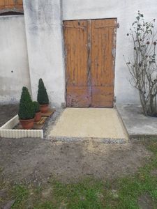 Buchsbaum Kugel Ø 22–25 cm – Buxus sempervirens sempervirens – immergrüne Gartenkugel, Formschnitt Buchsbaum für Garten, Terrasse & Balkon Kunden-Foto 1