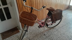 Via Veneto by Canellini Fahrrad Citybike Frau Aluminium mit Korb und Tasche - Olivgrün 46 Kunden-Foto 8