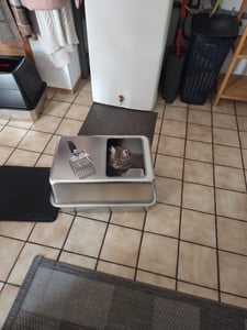 Katzenklo Edelstahl XXL mit Deckel – Katzentoilette Geschlossen mit Frontklappe & Top-Einstieg – 38L Katzentoilette Edelstahl – 60x40x33cm  – Leicht zu Reinigen & Geruchsresistent mit Schaufel & Matte Kunden-Foto 1