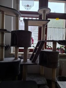 HAPPYPET Kratzbaum deckenhoch 260 cm hoch, Kletterbaum SAM – Großer XXL Katzenbaum Stabil für mehrere Katzen, stabile 8 cm Säulen, mit Zubehör, Beige Kunden-Foto 10