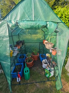 GREENPRO XXL Gewächshaus Treibhaus Frühbeet Foliengewächshaus Tomaten Kunden-Foto 1