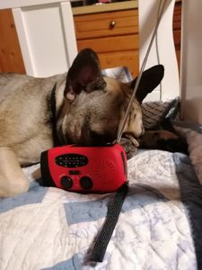 Solar radio, Solar Kurbelradio mit LED-Taschenlampe, Notfallradio AM/FM Wetter, 2000mAh Akku, Handkurbel-Dynamo, Powerbank für Smartphone Kunden-Foto 2