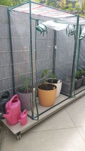Tomaten-Gewächshaus mit PE-Abdeckung, 100 x 50 x 150 cm Kunden-Foto 1