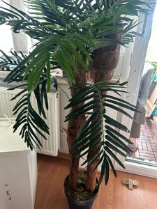 Decovego künstliche Fächerpalme, Kunstpalme, 180 cm aus Kunststoff in Grün, Kunstpflanze für Wohn- & Büroräume, Allergikerfreundlich & Pflegeleicht Kunden-Foto 3