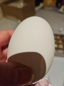Deko Gänse-Ei Ostern L.12cm W.12cm H.9cm weiß 4 Stück Kunden-Foto 1