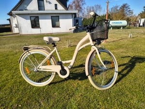 Milord Komfort Stadtfahrrad Fahrrad mit Korb Damenfahrrad, 26 Zoll, Schwarz, 3-Gang Kunden-Foto 2
