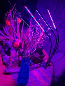 Lampa LED do roślin z 3 ramionami – pełne spektrum, 60 diod LED, timer 3/9/12 godzin, zasilanie USB, z pilotem Zdjęcie produktu od klienta nr 2