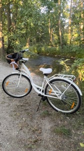 Milord Komfort Fahrrad Mit Weidenkorb Damenfahrrad, 28 Zoll, Rosa, 7 Gang Shimano Kunden-Foto 4