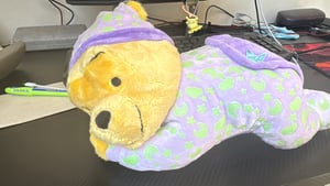 Disney WTP Good Night Bear II Zdjęcie produktu od klienta nr 1