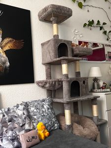 Feandrea XXL Kratzbaum, 199 cm, mehrstufig, mit Sisalstämmen, beige Kunden-Foto 33