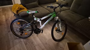 Bergsteiger Montreal 24 Zoll Kinderfahrrad, geeignet für 8, 9, 10, 11 Jahre, Shimano 18 Gang-Schaltung, Mountainbike mit Vollfederung, Jungen-Fahrrad, Mädchen-Fahrrad Kunden-Foto 2