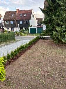 Thuja occidentalis Smaragd 80-100 cm SMARAGD ALBERO DELLA VITA Foto del cliente 1