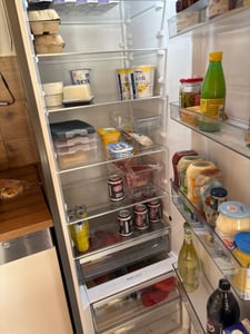 Gorenje R619DAXL6 Kühlschrank ohne Gefrierfach, 398 Liter, Türanschlag wechselbar, Display, silber Kunden-Foto 1