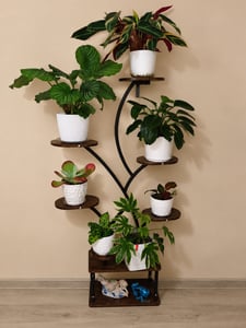 Soporte para plantas VEVOR con luz de crecimiento, estantería para flores de 9 niveles, soporte para plantas de metal, con 3 temporizadores y 10 niveles de brillo, estante para flores para decorar salones y balcones, 62x28x160 cm Foto del cliente 1