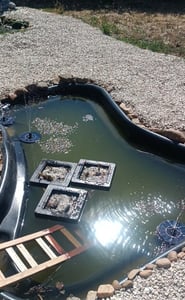 Solar Springbrunnen für Außen, Solar Teichpumpe mit Sprüh Effekten, Garten Wasserspiel - SOLAR FOUNTAIN Kunden-Foto 3