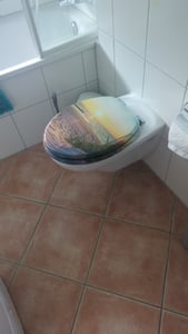 sanicomfort WC Sitz Wood dark, MDF Holzkern, mit Absenkautomatik, Toilettensitz mit Klodecken, Klobrille und Deckel, verchromte Metallscharniere, einfache Montage Kunden-Foto 1