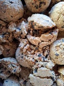Futterbauer Meisenknödel 200 Stück ohne Netz, Hochwertige Meisenknödel für Wildvögel, ca. 90 g je Knödel, mit Vitaminen & Fetten Kunden-Foto 12