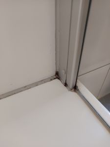 AGO 500ml Schimmelentferner mit Pinsel & Handschuhen – stärker als herkömmliche Sprühreiniger/hochkonzentriertes Anti Schimmel Mittel Kunden-Foto 1