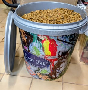 10 kg de larves de mouches soldats Lyra Pet® Photo du client 1