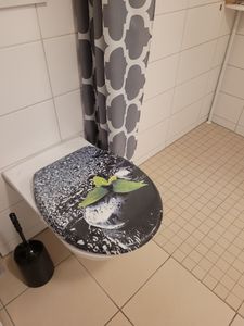 sanicomfort WC-Sitz, Duroplast, mit Absenkautomatik, Toilettensitz passend für alle handelsüblichen WC-Becken (bahamabeige) Kunden-Foto 1