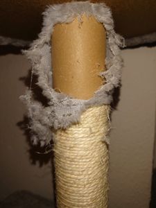 Yaheetech Kratzbaum 181 cm H, mit 2 Katzenhöhlen & 2 Plattformen & 5 Sisalstämmen, großer Katzenkratzbaum stabil, Dunkelgrau Kunden-Foto 10