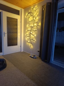 2er LED Weidenzweig-Lichterkette mit 144 LEDs & Netzstecker, biegbare Baumzweige für Weihnachten, Halloween, Schlafzimmer & stimmungsvolle Deko Kunden-Foto 4
