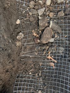 Volierendraht 1 x 25 Meter 12 x 12 mm Drahtgitter Verzinkt Drahtzaum Maschendraht Draht Voliere Kunden-Foto 6