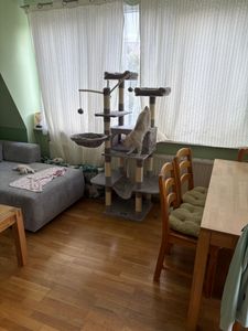 FEANDREA škrabadlo, XXL kočičí strom, 164 cm, světle šedá PCT087W01 Fotografie od zákazníka č. 31