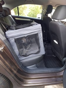 PawHut Hundetasche Hundebox mit Meshfenster, Katzentransportbox mit Kissen, Grau Kunden-Foto 1