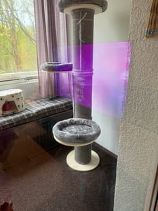 PET VIOLET Cat Tower A 185 cm – Wandmontierter Kratzbaum aus Massivholz & Sisal, Komfort-Kissen, 3 Ebenen, stabiler Katzenbaum für große Katzen – Beige Kunden-Foto 1