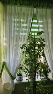 Estika Doppelrollo Klemmfix - 40 x 150 cm - Grün - Duo Rollo ohne Bohren Kunden-Foto 6