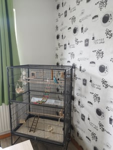 Klatka dla ptaków Yaheetech ze stojakiem, woliera dla ptaków z 3 drewnianymi grzędami i 4 miskami do karmienia, klatka dla papużek na 4 kółkach, woliera dla papug, czarna Zdjęcie produktu od klienta nr 6