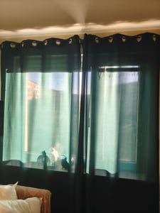 Neprůhledná záclona s očky, rozměry: 140x240 cm, barva: Tmavě zelená Fotografie od zákazníka č. 2
