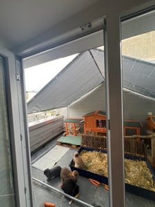 Kurník 2,5 x 2 x 2 m, kurník, klec pro drobná zvířata, výběh, výběh pro drobná zvířata, voliéra, venkovní výběh, klec pro slepice, drůbežárna, pozinkovaná ocel se střechou Fotografie od zákazníka č. 3