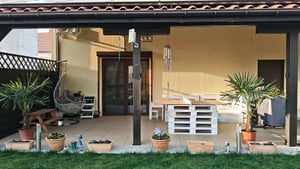 XXL winterharte Palme Hanfpalme 160-220 cm -18 °C Trachycarpus Fortunei Kunden-Foto 4