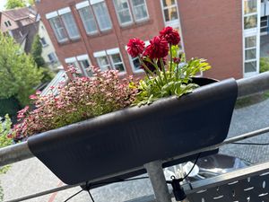 4er Set Geländerkasten Balkon mit Wasserspeicher Blumentopf Zaun Blumenkasten Geländer Balkontopf Balkonkasten mit Halterung Balkon Pflanzkasten Anthrazit Kunden-Foto 3