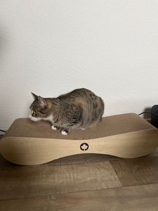 CanadianCat C10105, Katzenkratzbett, Freistehend, Beige, Karton, 760 mm, 240 mm Kunden-Foto 1