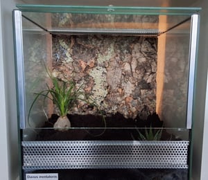 Terrarium 30x30x30 cm Schnecken Spinnen Amphibien Glas Terrarium Mit Belüftung Pflanzen Reptilienbecken Mit Falltür Glasterrarium 30 Klein Kunden-Foto 1
