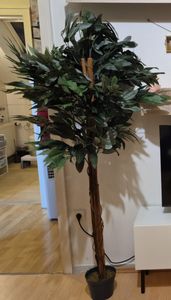 PLANTASIA Umělý strom bambus, 190 cm Fotografie od zákazníka č. 5