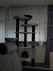 FEANDREA Kratzbaum 186 cm, Katzenbaum für große katzen, 13 dicken Säulen (11 cm d), stabil, Kippschutz, Tintenschwarz Kunden-Foto 3