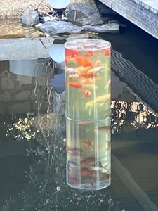 HI transparente Fischsäule Ø 20 cm, Höhe 65cm 35613 Kunden-Foto 1