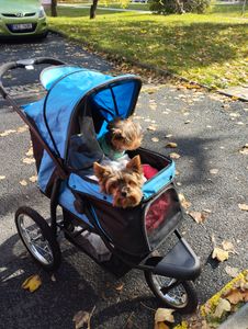 PawHut Hundebuggy mit Reflektoren, Faltbarer Katzenbuggy für Kleine Mittle Hunde Kunden-Foto 1