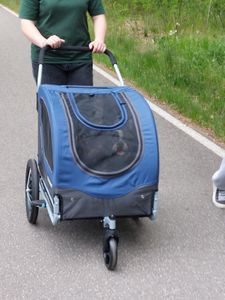 DOGGYHUT Large Fahrradanhänger & Hundebuggy 2 in 1 für Hunden bis 35kg Hundeanhänger Jogger Hundewagen mit Feststellbremse Kunden-Foto 4