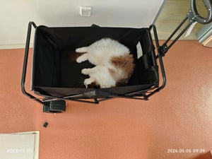 Skladací ručný vozík HyperMotion Black - Prepravný vozík na pláž, kempovanie a nákupy - Nosnosť 80 kg Fotografia od zákazníka č. 4