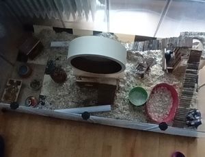 SONGMICS 2er set Kleintierkäfig, Freigehege mit Bodenplatten, 143 x 73 x 46 cm, Grau Kunden-Foto 1