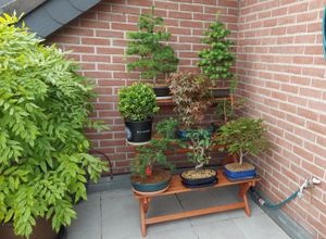 Für meinen Bedarf ideales Blumenregal