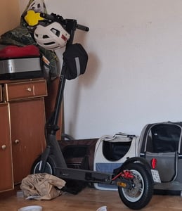 E-Scooter mit Straßenzulassung 5th Wheel V30 Pro 350W 10 Zoll App Diebstahlschutz Blinker Federung Kunden-Foto 1