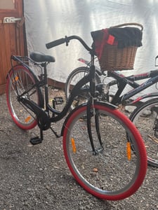 Milord Komfort Fahrrad Mit Weidenkorb Damenfahrrad, 26 Zoll, Mintze-Creme, 3-Gange Shimano Kunden-Foto 1